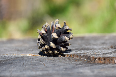 Similar image 21996033