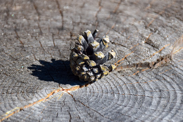 Similar image 21996034