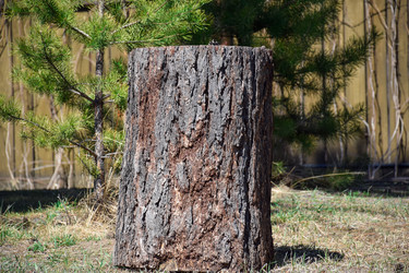 Similar image 21996035