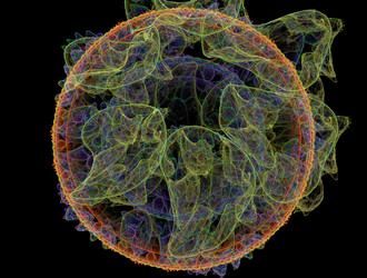 Similar image 22019593