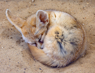 Similar image 21996664