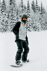 Similar image 21997033