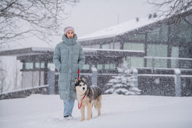 Similar image 22006160