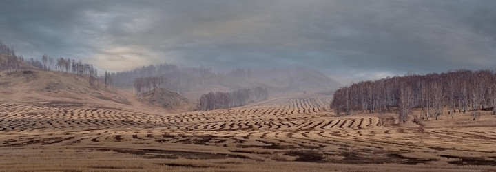 Similar image 21996043