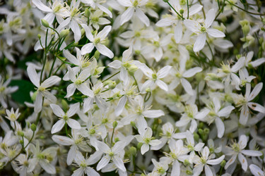 Similar image 21996052