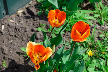 Similar image 21996054