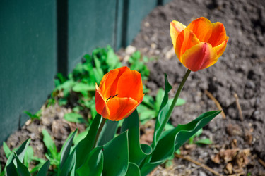 Similar image 21996055