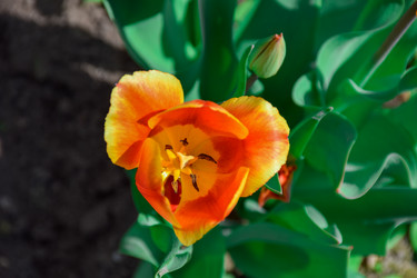 Similar image 21996056