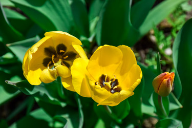 Similar image 21996058