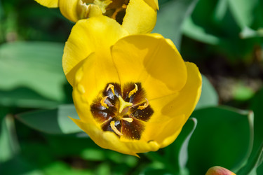 Similar image 21996060