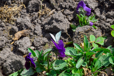 Similar image 21996061