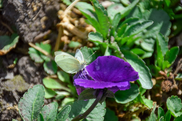 Similar image 21996062