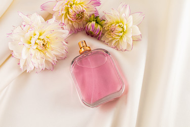 Similar image 21996064