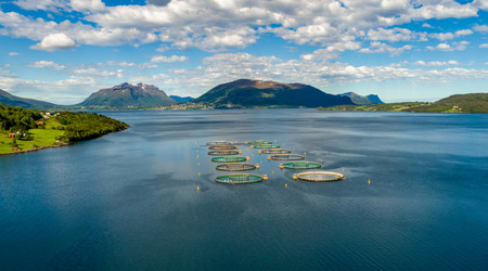 Similar image 21996687