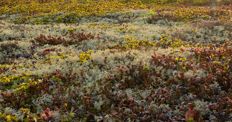 Similar image 21996720