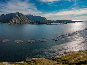 Similar image 21996730