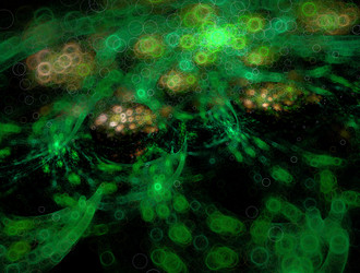 Similar image 22019599