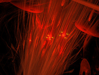 Similar image 22019798