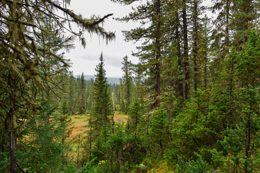 Similar image 21997426