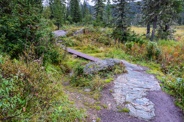 Similar image 21997429