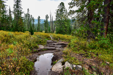 Similar image 21997430