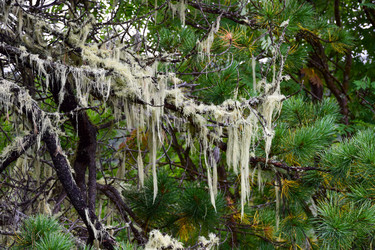 Similar image 21997432