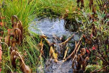 Similar image 21997434