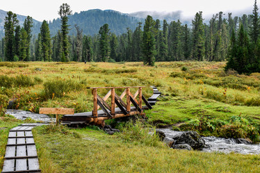 Similar image 21997435