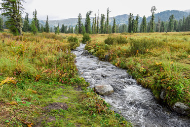 Similar image 21997437