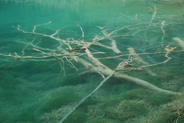 Similar image 21997445