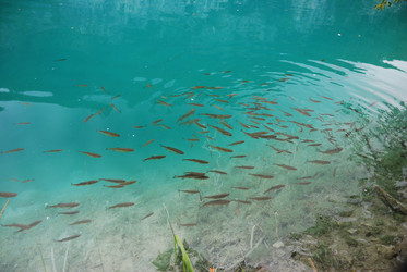 Similar image 21997446