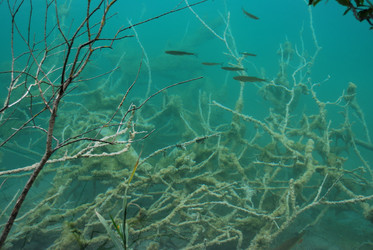 Similar image 21997449