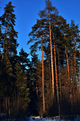 Similar image 21998123