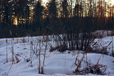 Similar image 21998124