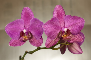 Similar image 21996805