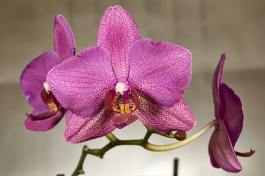 Similar image 21996806