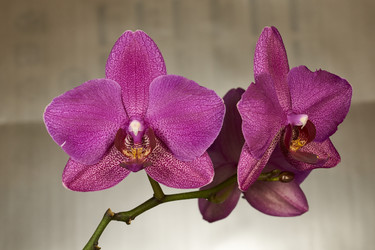 Similar image 21996807