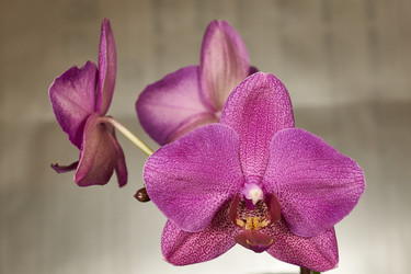 Similar image 21996808