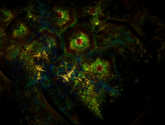 Similar image 22019813