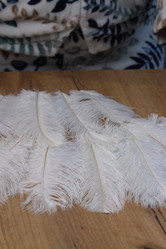 Similar image 21998292