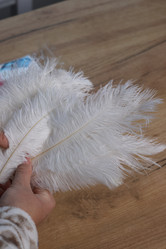 Similar image 21998298