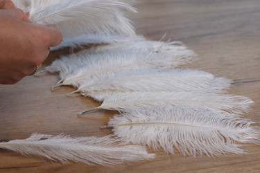 Similar image 21998299