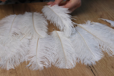 Similar image 21998300