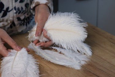 Similar image 21998301