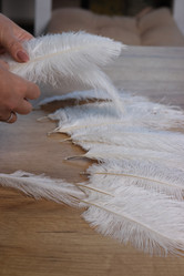 Similar image 21998302