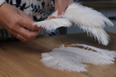 Similar image 21998304