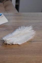 Similar image 21998305