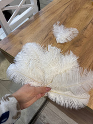 Similar image 21998308