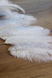 Similar image 21998309