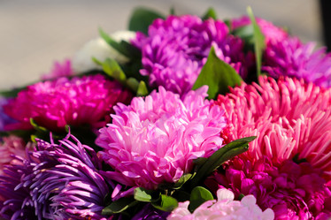 Similar image 22006509